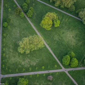 An adventurer who takes amazing pictures that reveal the beauty of London from the air
