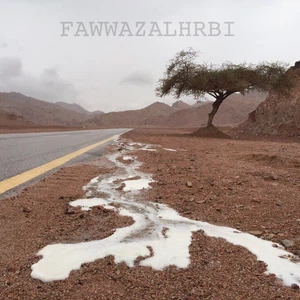 أمطار الخير تروي منطقة تبوك (صور)
