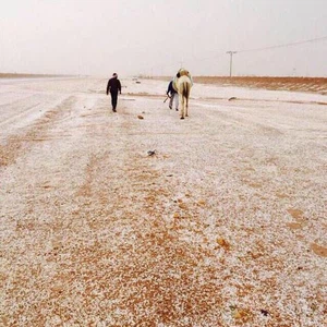 بالصور: البرد يكسو عددا من مناطق المملكة 