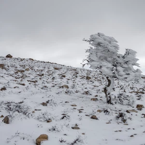 Photo and video Freezing and frosting of Mount Mubarak in the Petra District at an altitude of 1727