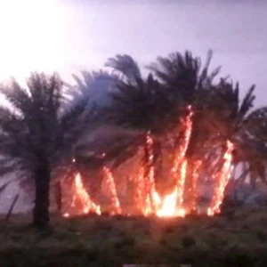 صاعقة رعدية تُشعل حريقاً في مزرعة بينبع النخل 