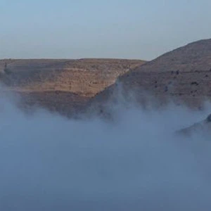 بالصور... أجواء ضبابية ساحرة في مرتفعات الشراه جنوب الأردن