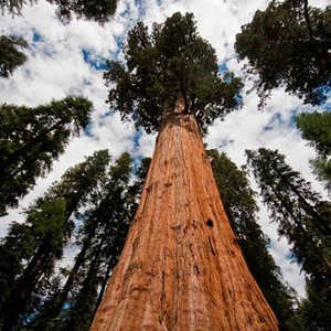 En images : découvrez les caractéristiques distinctives des montagnes de la Sierra Nevada en Californie