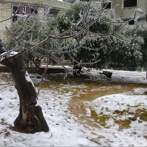  في ظاهرة نادرة ... شاهد بالصور "الأمطار الجليدية" في عدد من مدن سوريا