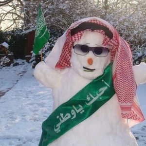 الثلوج تغطي مناطق الحدود الشمالية وترسم البسمة على وجوه السعوديين