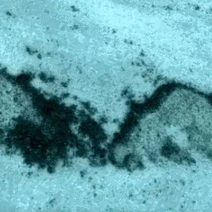 رصد أهرامات غريبة في المحيط الأطلسي (فيديو)