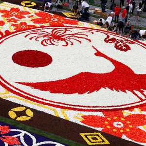 سجادة الزهور لعام 2016 في بروكسل.. موضوعها ياباني