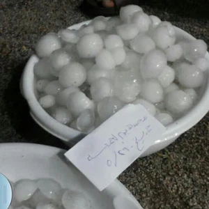 بالصور : بَرَد بحجم كرة المضرب تساقط في محافظة الدوادمي وادى لأضرار مادية الجمعة