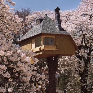 منزل غريب يتوسط الاشجار بين أوراق الربيع 