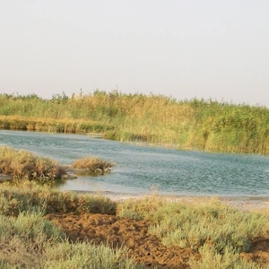 بالصور: بحيرة الأصفر روعة احتضان الصحراء للماء 