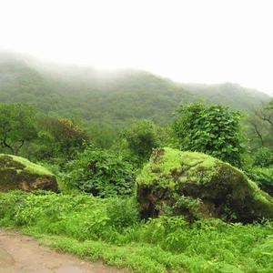 15 photos de la ville de Salalah .. reflétant les plus belles scènes de la nature