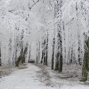 Superbes photos de 10 lieux touristiques en Hongrie