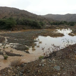 بالصور : أمطار رعدية غزيرة على محافظة عجبة شمران جنوب غرب السعودية عصر الأربعاء