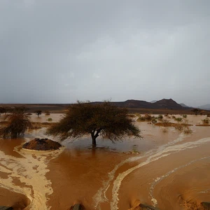 سيول تجري لتروي ارض الجزيرة