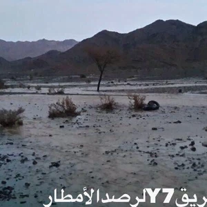 أمطار العيص