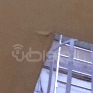 الصور كما وردت من صحيفة المواطن 