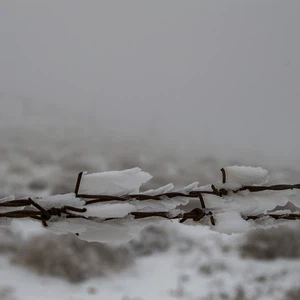 In pictures The white visitor covers the highlands of the south of the Kingdom today, Thursday