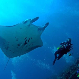 17 صورة مذهلة من جزيرة باندوس في المالديف