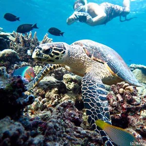 17 superbes photos de l&#39;île de Bandos aux Maldives