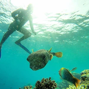 17 superbes photos de l&#39;île de Bandos aux Maldives