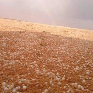 عاصفة بردية اثرت على الروسان