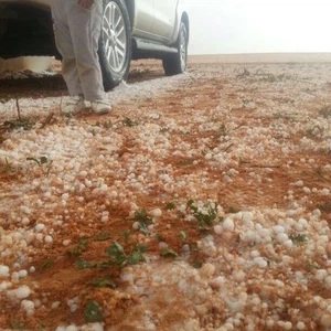 عاصفة بردية اثرت على الروسان