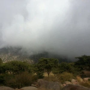 بالصور: أمطار رعدية تؤثر على مرتفعات أبها 