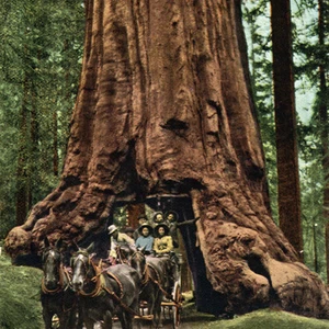 En images : découvrez les caractéristiques distinctives des montagnes de la Sierra Nevada en Californie