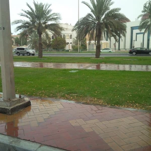 أمطار الخير في أبوظبي