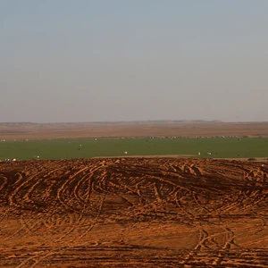 Photos: Scènes de la source du jardin d&#39;enfants Umm Al Shuqooq à Riyad et comment y accéder