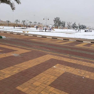 الثلوج تغطي مناطق الحدود الشمالية وترسم البسمة على وجوه السعوديين