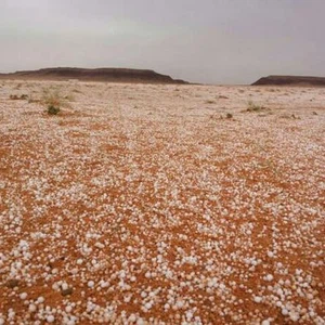 صورة من بردية شمال الدوادمي 