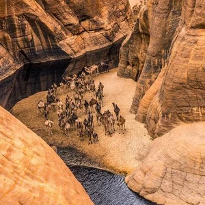 واحة "آرشي" في تشاد .. سبحان الخالق 