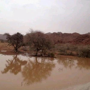 بالصور: أمطار الخير تروي غرب حائل وفرص الأمطار مُستمرة في ساعات الليل 