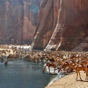 واحة "آرشي" في تشاد .. سبحان الخالق 