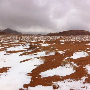 عاجل: الصور الأولية لتساقط الثلوج على مرتفعات تبوك 