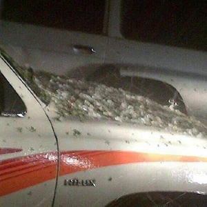 حبات البرد تكسو السيارات 