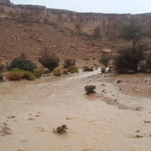 سيول شمال الحريق