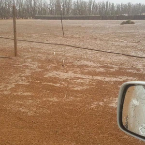 عاصفة بردية تُمطر صحراء طبرجل بوابل من حبّات البرد 