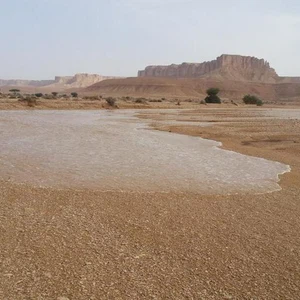 سيول شمال الحريق