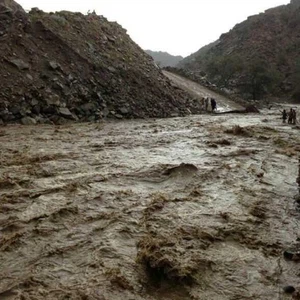 بالصور: الأمطار الغزيرة تتساقط على شفا الطائف 