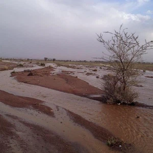 جريان المياه في منطقة حائل 