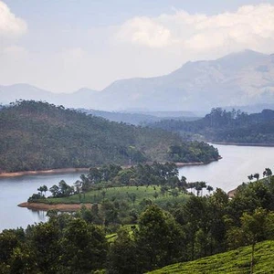 Munnar, thousands of hectares of tea plantations in the middle of nature