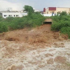 بالصور: الأمطار الغزيرة تتساقط على شفا الطائف 