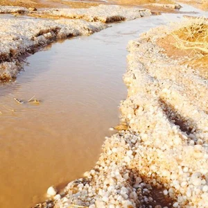 طبرجل تشهد بردية قوية