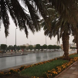 المدينة المنورة تشهد هطول أمطار غزيرة