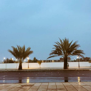 المدينة المنورة تشهد هطول أمطار غزيرة