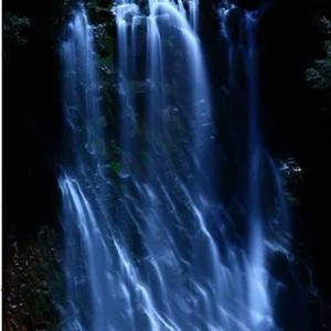 In pictures: When light and dark meet on `Planet Japan`