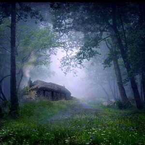 منزل بإحدى الغابات في اسكتلندا