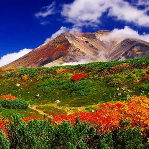 In pictures: 6 places to witness the wonderful fall colors in Japan